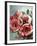 Amid Scent of Roses-Holly Van Hart-Framed Art Print