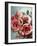 Amid Scent of Roses-Holly Van Hart-Framed Art Print