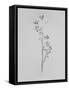 Amid the Flowers 76, 2021 (b/w photo)-Teis Albers-Framed Stretched Canvas