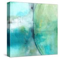 Amid The Roar-Michelle Oppenheimer-Stretched Canvas