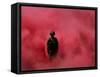 Amidst Smoke from a Flare, a Soldier Attends a Military Ceremony in Cali, Colombia-null-Framed Stretched Canvas
