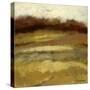 Amidst the Fields IV-Bradford Brenner-Stretched Canvas