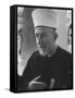 Amin El Husseini, Former Mufti of Jerusalem, Attending Bandung Conference-null-Framed Stretched Canvas