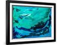 Gramercy Black