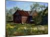 Amish Country Barn-Barbara Chenault-Mounted Art Print