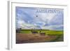 Amish Country - Farmer and Hot Air Balloons-Lantern Press-Framed Art Print