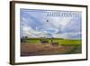 Amish Country - Farmer and Hot Air Balloons-Lantern Press-Framed Art Print