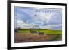 Amish Country - Farmer and Hot Air Balloons-Lantern Press-Framed Art Print