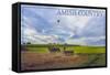 Amish Country - Farmer and Hot Air Balloons-Lantern Press-Framed Stretched Canvas