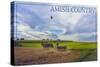 Amish Country - Farmer and Hot Air Balloons-Lantern Press-Stretched Canvas