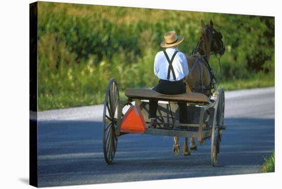 Amish driving a horse-drawn cart, Pennsylvania, USA-null-Stretched Canvas