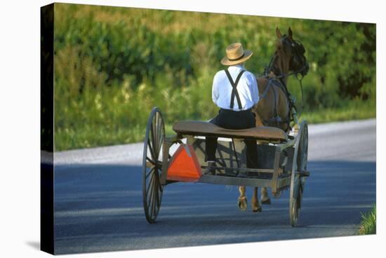 Amish driving a horse-drawn cart, Pennsylvania, USA-null-Stretched Canvas