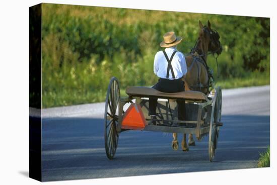 Amish driving a horse-drawn cart, Pennsylvania, USA-null-Stretched Canvas