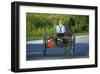 Amish driving a horse-drawn cart, Pennsylvania, USA-null-Framed Art Print