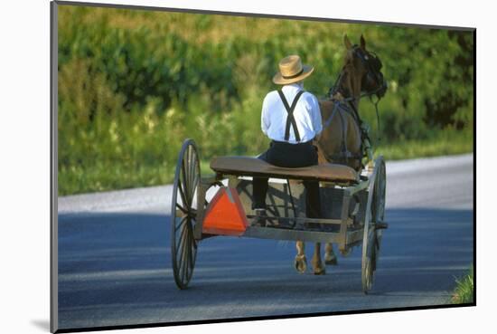 Amish driving a horse-drawn cart, Pennsylvania, USA-null-Mounted Art Print