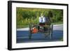 Amish driving a horse-drawn cart, Pennsylvania, USA-null-Framed Art Print