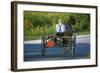 Amish driving a horse-drawn cart, Pennsylvania, USA-null-Framed Art Print
