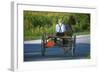 Amish driving a horse-drawn cart, Pennsylvania, USA-null-Framed Art Print