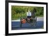 Amish driving a horse-drawn cart, Pennsylvania, USA-null-Framed Art Print