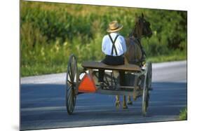 Amish driving a horse-drawn cart, Pennsylvania, USA-null-Mounted Art Print