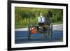 Amish driving a horse-drawn cart, Pennsylvania, USA-null-Framed Art Print