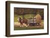 Amish Harvest-Kathleen Green-Framed Art Print