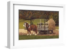 Amish Harvest-Kathleen Green-Framed Art Print