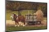 Amish Harvest-Kathleen Green-Mounted Art Print