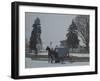 Amish Horse and Buggy, 2013-Anthony Butera-Framed Premium Photographic Print