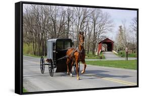 Amish Horse and Carriage-Delmas Lehman-Framed Stretched Canvas