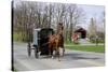 Amish Horse and Carriage-Delmas Lehman-Stretched Canvas