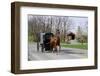 Amish Horse and Carriage-Delmas Lehman-Framed Photographic Print