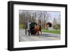 Amish Horse and Carriage-Delmas Lehman-Framed Photographic Print