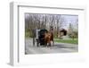 Amish Horse and Carriage-Delmas Lehman-Framed Photographic Print