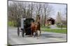 Amish Horse and Carriage-Delmas Lehman-Mounted Photographic Print