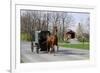 Amish Horse and Carriage-Delmas Lehman-Framed Photographic Print