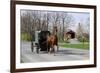 Amish Horse and Carriage-Delmas Lehman-Framed Photographic Print