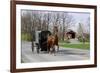 Amish Horse and Carriage-Delmas Lehman-Framed Photographic Print