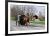 Amish Horse and Carriage-Delmas Lehman-Framed Photographic Print