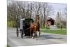 Amish Horse and Carriage-Delmas Lehman-Mounted Photographic Print