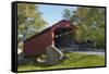 Amish Horse-drawn Buggy, Pool Forge Covered Bridge, built in 1859, Lancaster County, Pennsylvania,-Richard Maschmeyer-Framed Stretched Canvas