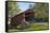 Amish Horse-drawn Buggy, Pool Forge Covered Bridge, built in 1859, Lancaster County, Pennsylvania,-Richard Maschmeyer-Framed Stretched Canvas