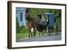 Amish in a carriage, Pennsylvania, USA-null-Framed Art Print