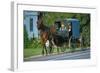 Amish in a carriage, Pennsylvania, USA-null-Framed Art Print