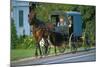 Amish in a carriage, Pennsylvania, USA-null-Mounted Art Print