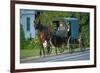 Amish in a carriage, Pennsylvania, USA-null-Framed Art Print