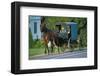 Amish in a carriage, Pennsylvania, USA-null-Framed Art Print