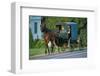 Amish in a carriage, Pennsylvania, USA-null-Framed Art Print