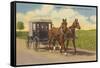 Amish in Carriage, Lancaster County, Pennsylvania-null-Framed Stretched Canvas