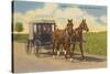 Amish in Carriage, Lancaster County, Pennsylvania-null-Stretched Canvas